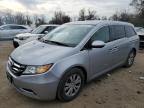 HONDA ODYSSEY SE 5FNRL5H37HB018244 photo