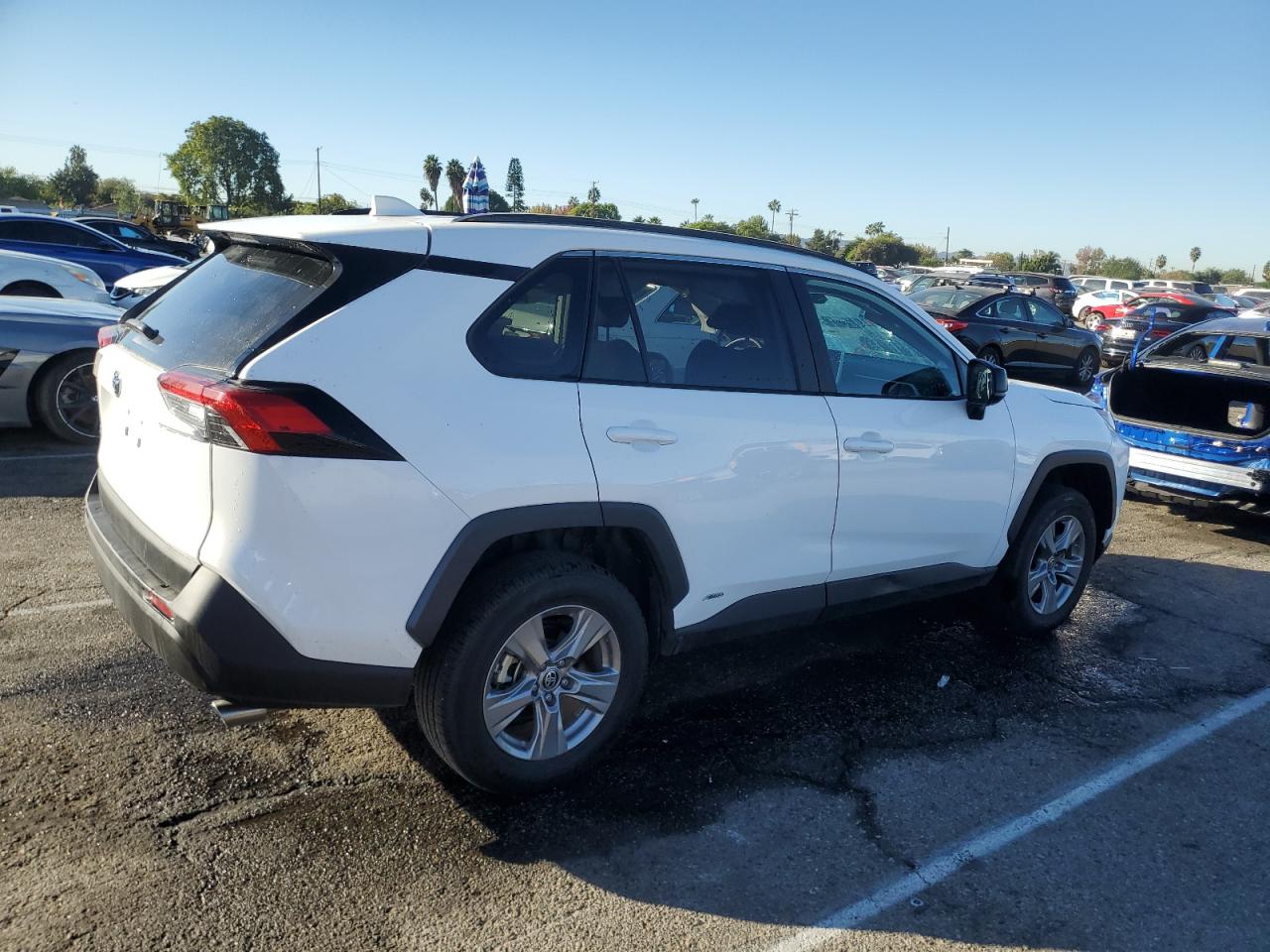 Lot #2991406903 2024 TOYOTA RAV4 LE