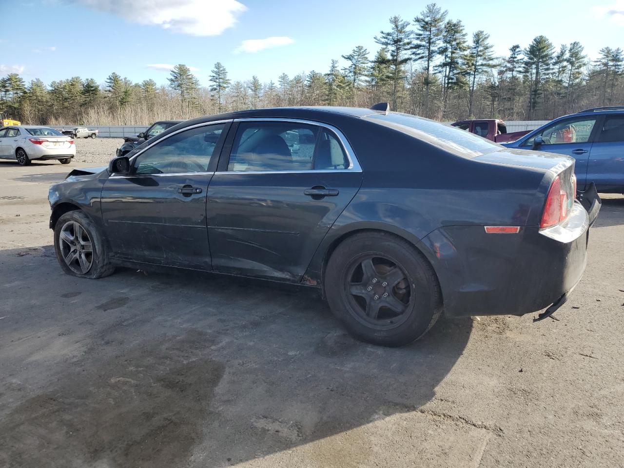 Lot #3004291670 2012 CHEVROLET MALIBU LS