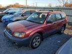 SUBARU FORESTER photo