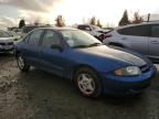 Lot #3024231798 2005 CHEVROLET CAVALIER