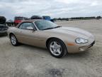 JAGUAR XK8 photo