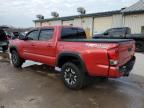 TOYOTA TACOMA DOU photo