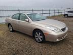 LEXUS ES 330 снимка