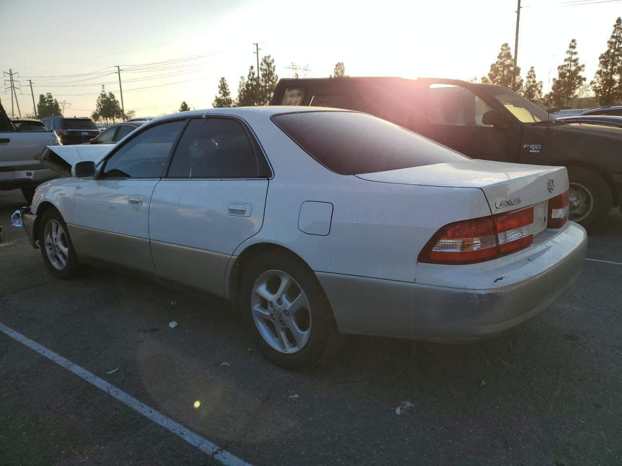 Lot #2979603566 2000 LEXUS ES 300