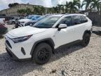 Lot #3303577936 2024 TOYOTA RAV4 XLE