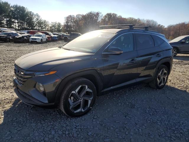 2024 HYUNDAI TUCSON LIM - 5NMJECDE1RH296835
