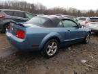 Lot #3027105788 2006 FORD MUSTANG