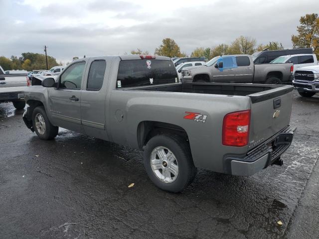 CHEVROLET SILVERADO 2009 gray 4dr ext flexible fuel 1GCEK290X9Z124767 photo #3