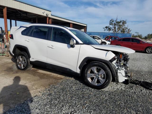2023 TOYOTA RAV4 XLE - 4T3RWRFV0PU089684