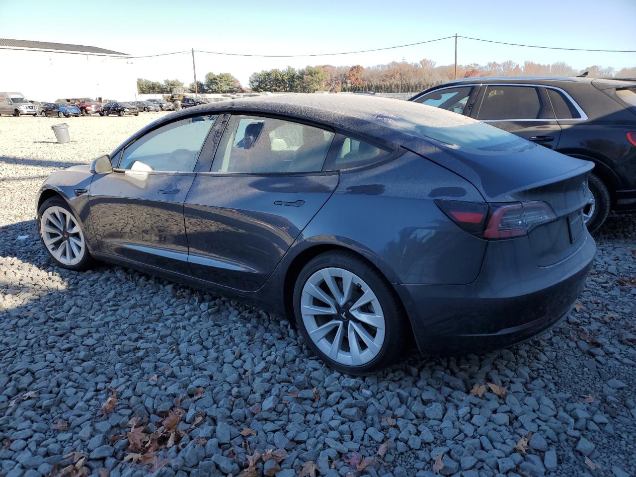 Lot #2971626708 2022 TESLA MODEL 3