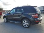 MERCEDES-BENZ ML 350 снимка