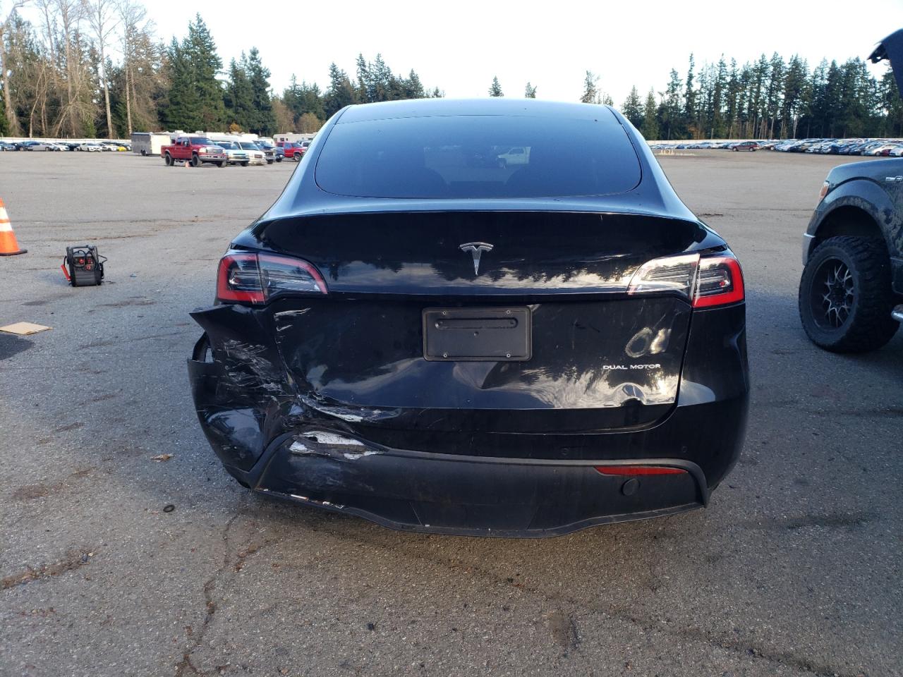 Lot #2989373703 2021 TESLA MODEL Y