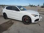 ALFA ROMEO STELVIO TI photo