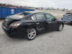 Lot #3023650968 2012 NISSAN MAXIMA S