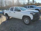 Lot #3006731504 2024 CHEVROLET COLORADO