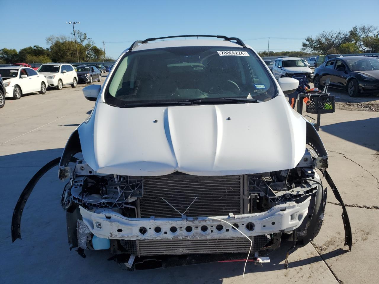 Lot #3038109210 2014 FORD ESCAPE SE