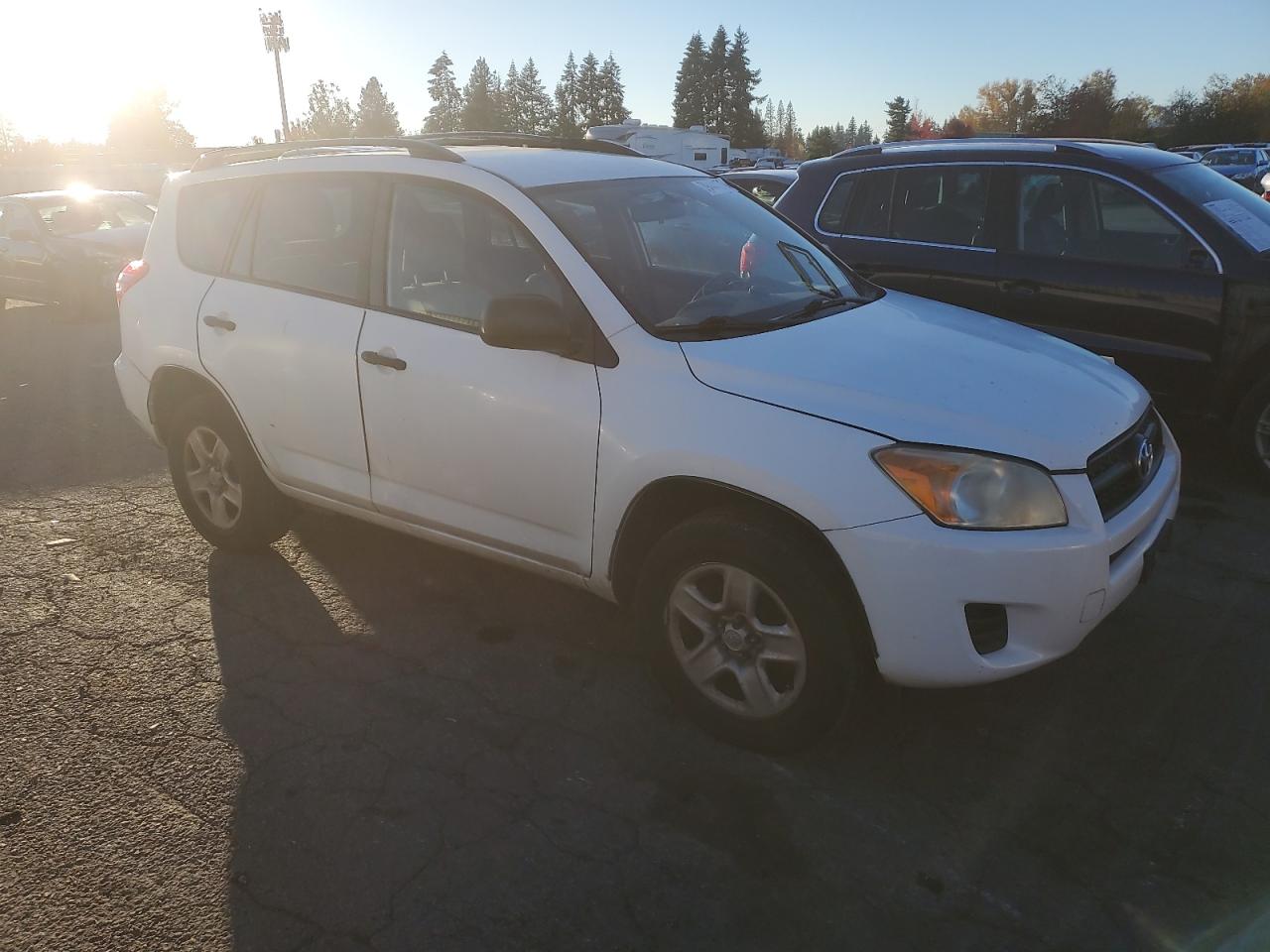 Lot #2974801242 2009 TOYOTA RAV4