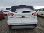 FORD ESCAPE SE photo