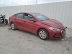 Lot #3023238158 2017 HYUNDAI ELANTRA SE