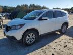 HONDA CR-V EXL photo