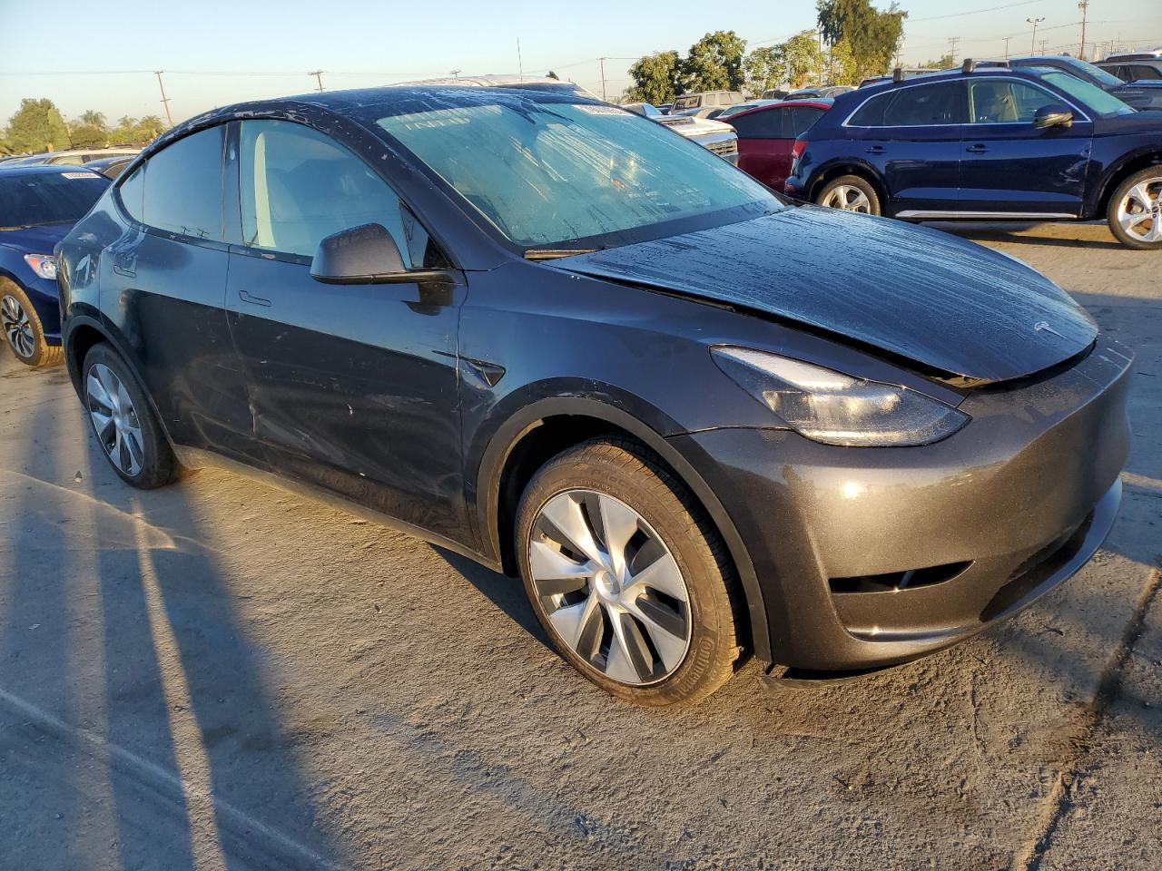 Lot #2945081699 2024 TESLA MODEL Y