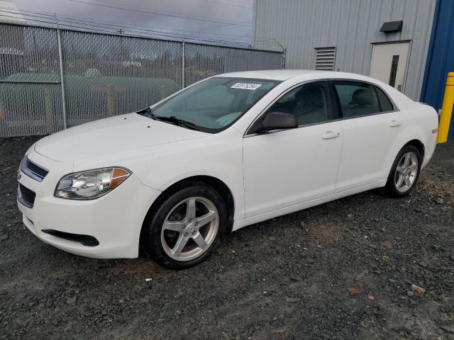 Vin: 1g1zb5eu4bf233723, lot: 82975284, chevrolet malibu ls 2011 img_1