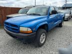 DODGE DAKOTA photo