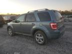 Lot #3023799904 2011 FORD ESCAPE LIM