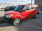 KIA SOUL + photo