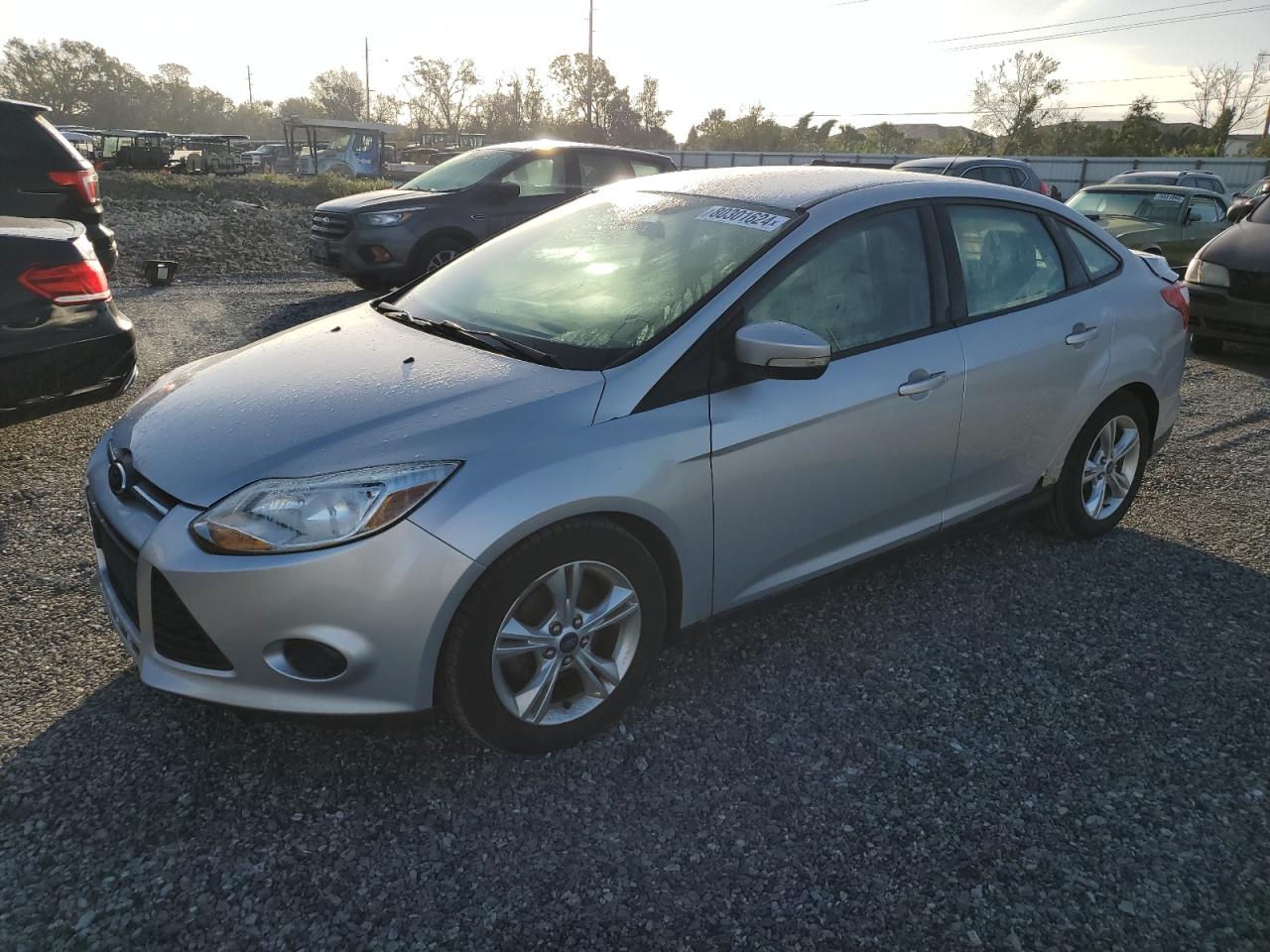 Lot #3020628918 2014 FORD FOCUS SE