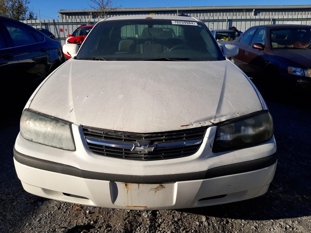 Lot #2989025524 2005 CHEVROLET IMPALA