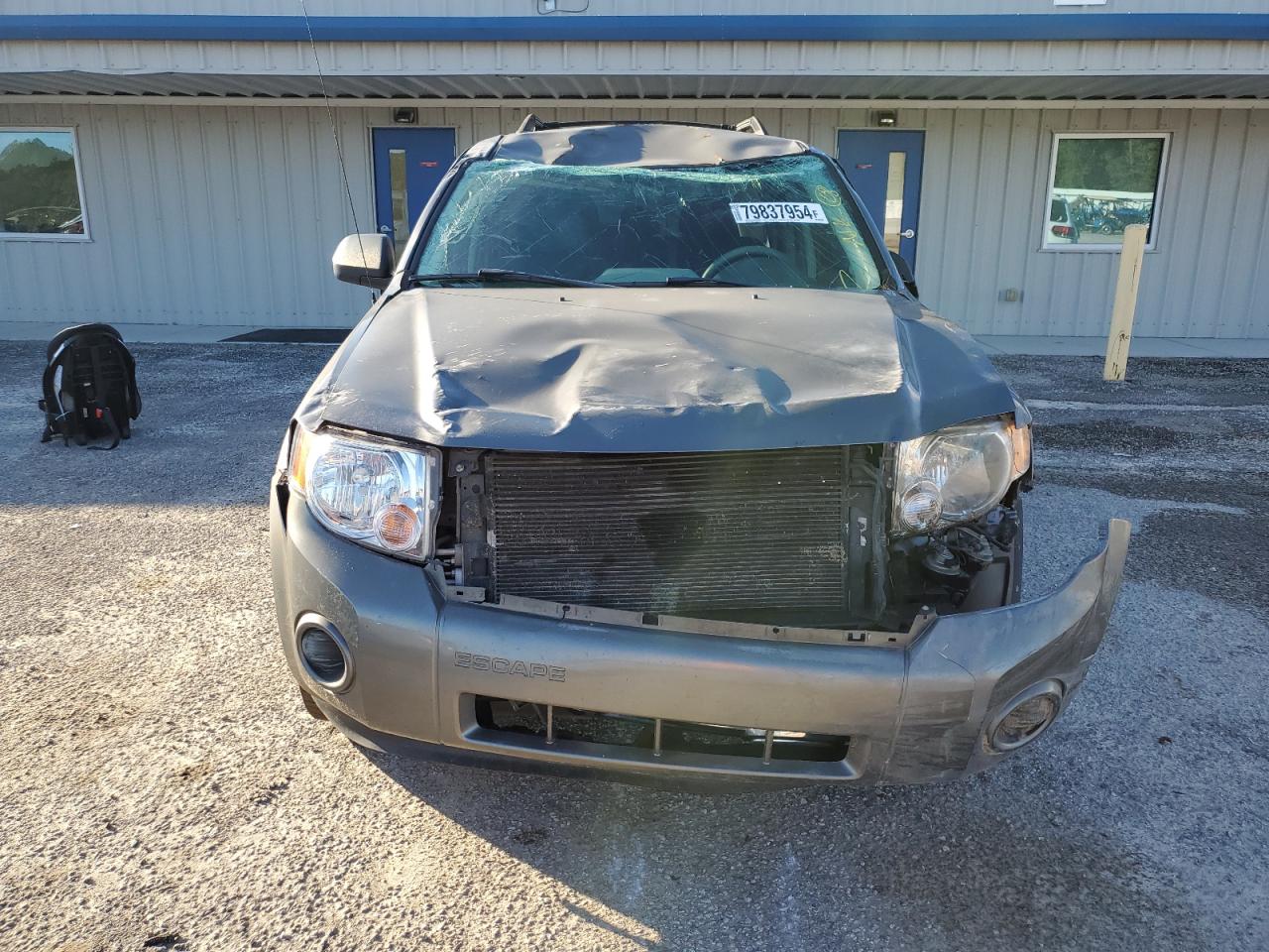 Lot #2994019325 2010 FORD ESCAPE XLS