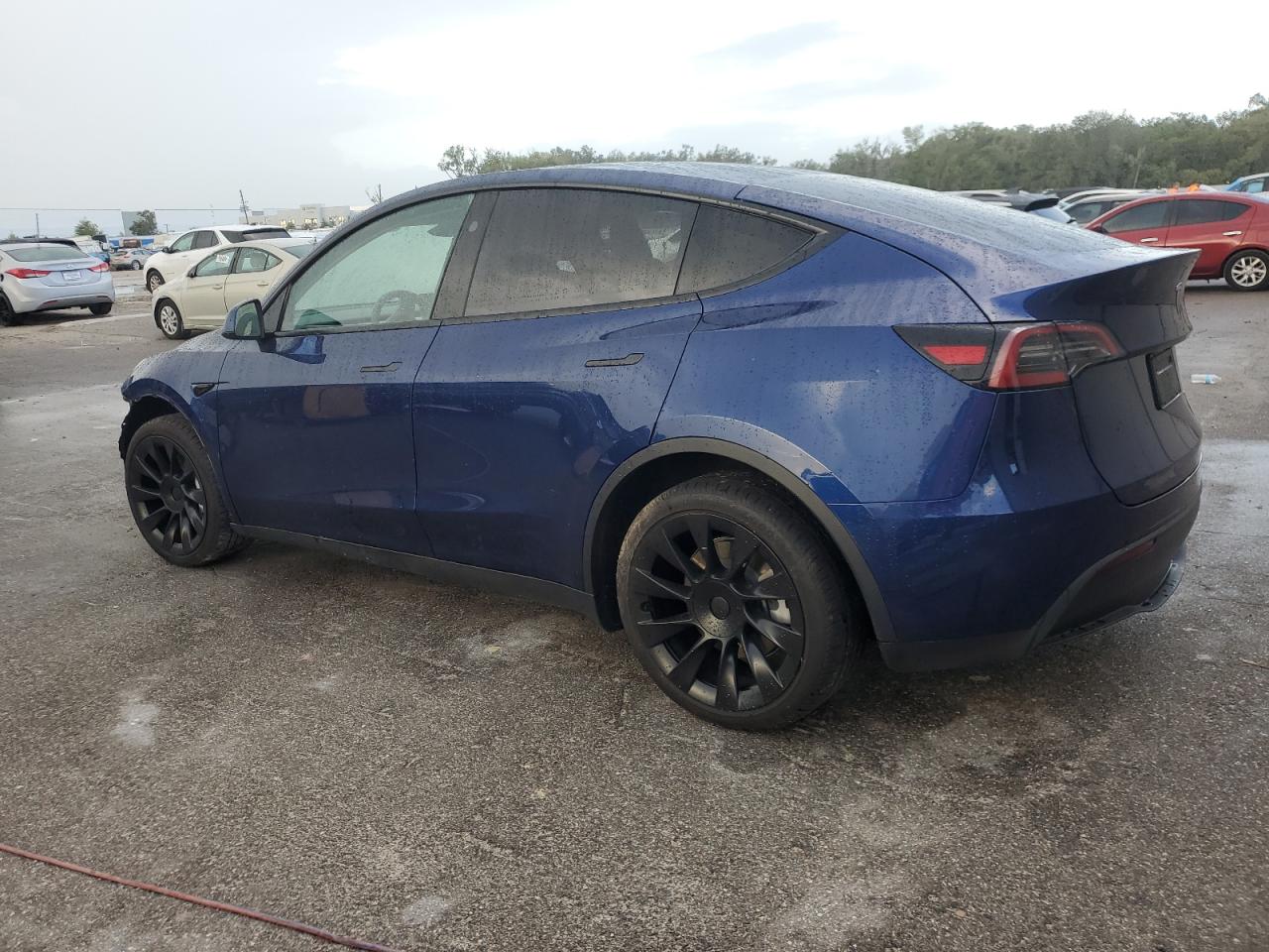 Lot #2981669772 2023 TESLA MODEL Y