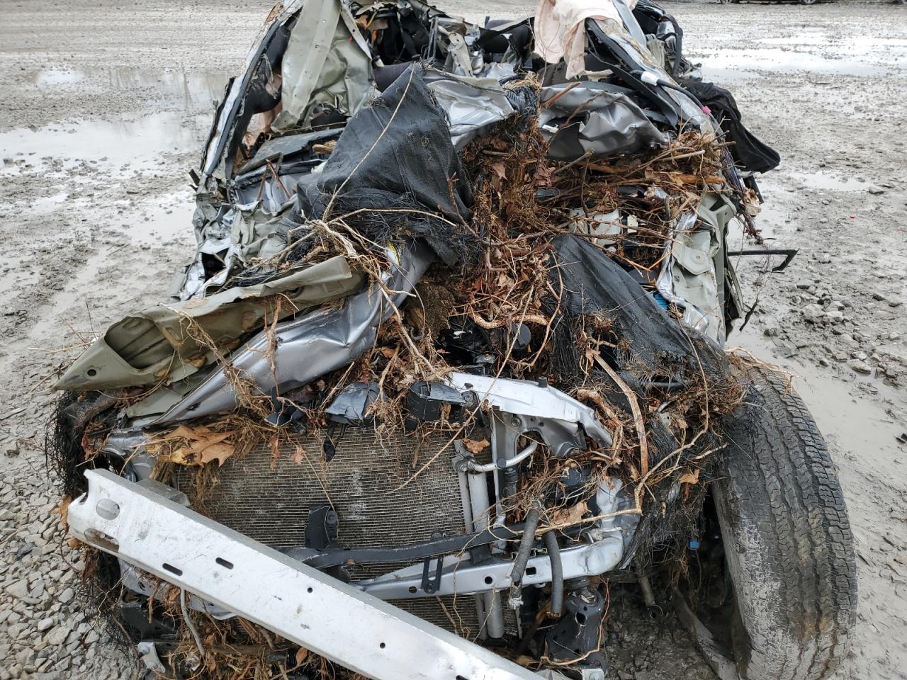 Lot #2991692173 2018 TOYOTA TACOMA DOU