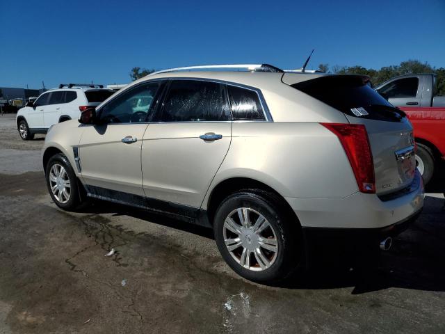 CADILLAC SRX LUXURY 2011 beige  gas 3GYFNAEY7BS519763 photo #3