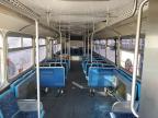 Lot #3023814968 1997 GILLIG BUS