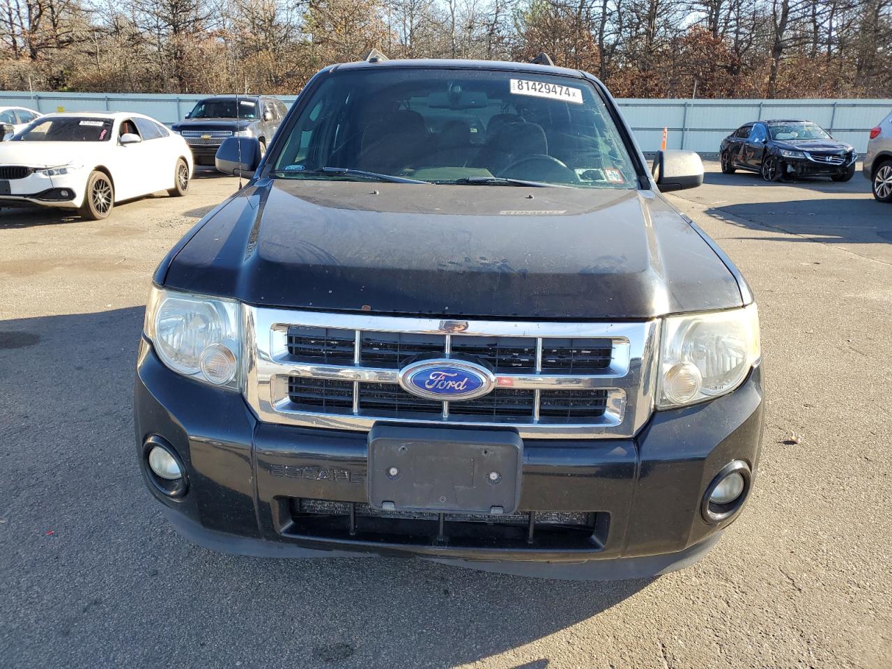 Lot #3006621626 2012 FORD ESCAPE XLT