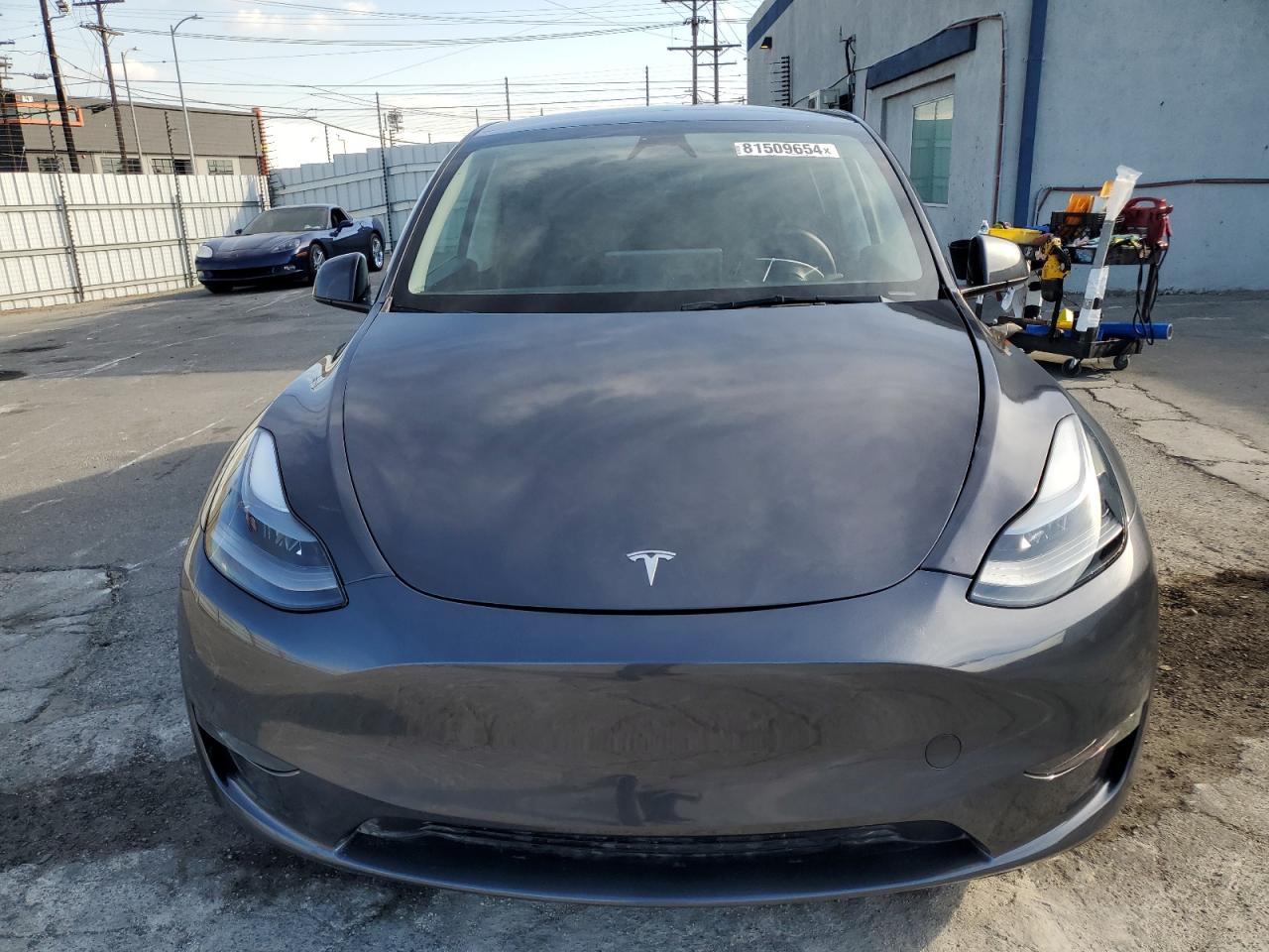 Lot #2986827245 2024 TESLA MODEL Y