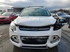 Lot #3023173276 2015 FORD ESCAPE TIT