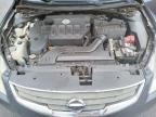 NISSAN ALTIMA BAS photo