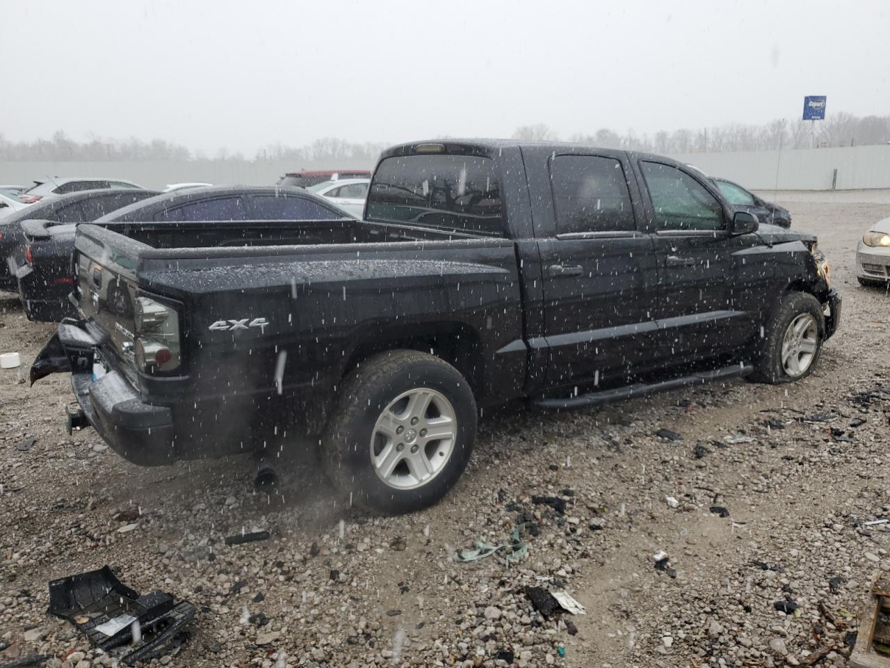 Lot #3026027964 2011 DODGE DAKOTA SLT