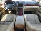 Lot #2960176040 2007 LEXUS LS 460