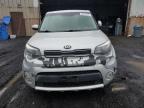 Lot #3025718359 2018 KIA SOUL +