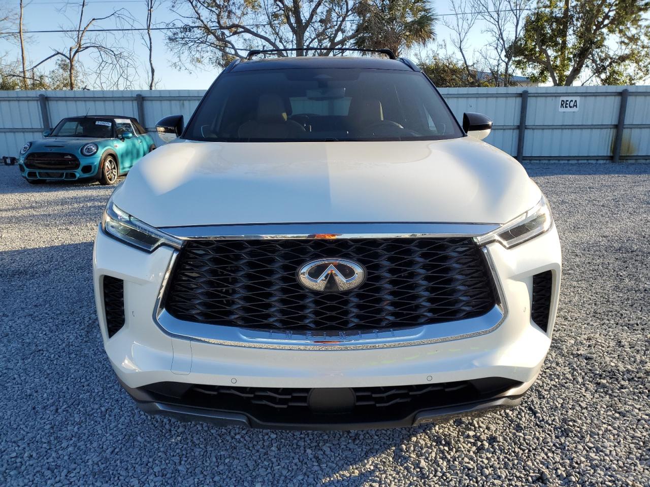 Lot #2986717251 2024 INFINITI QX60 AUTOG