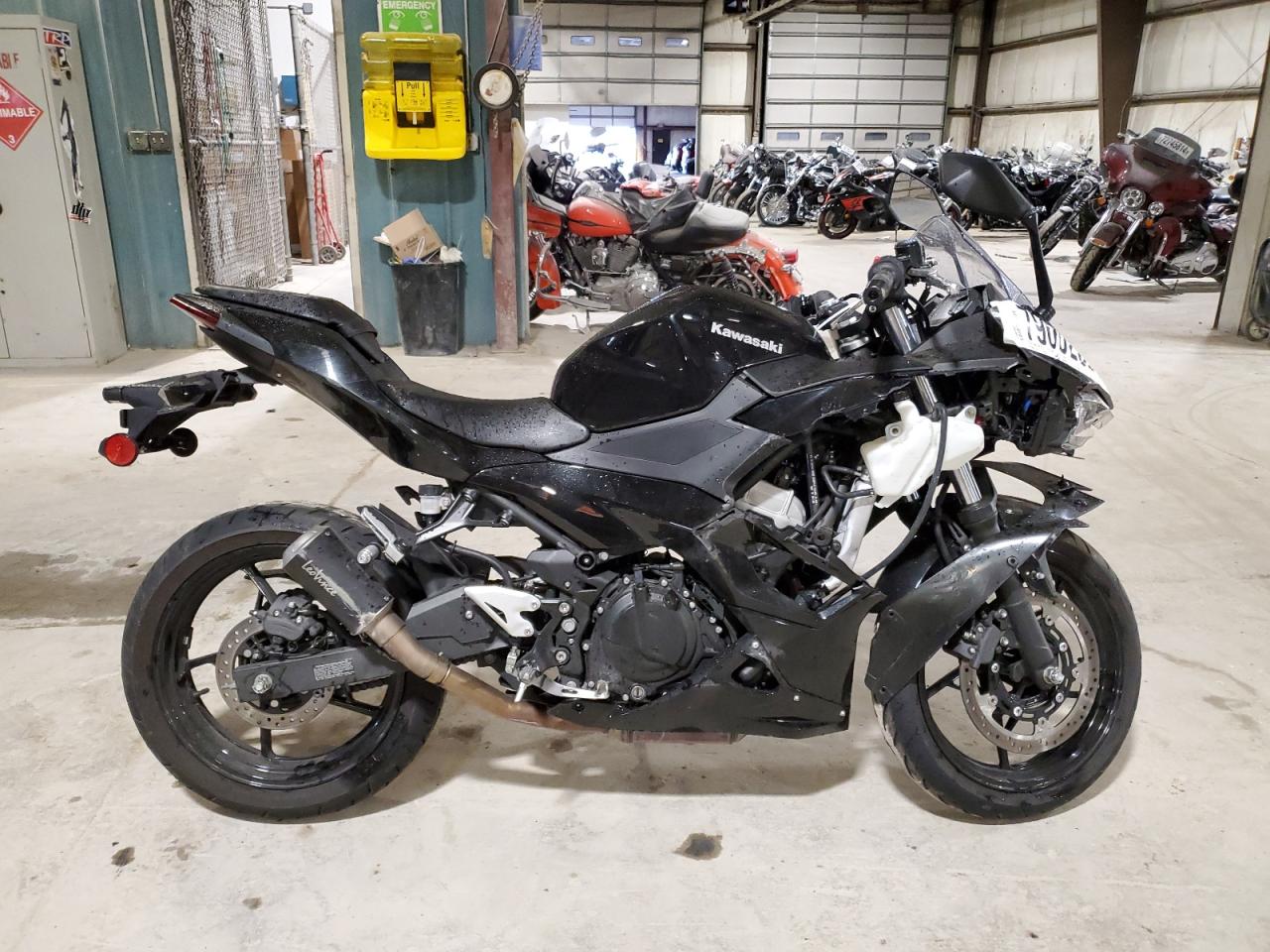 Kawasaki Ninja 500 2024 EX500HR