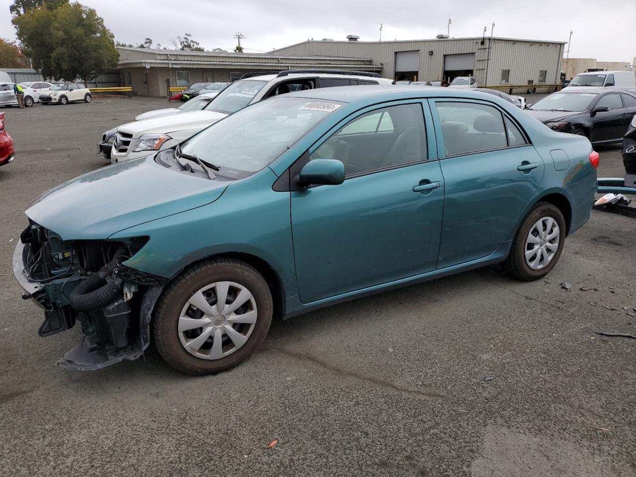 Lot #2994352038 2010 TOYOTA COROLLA BA