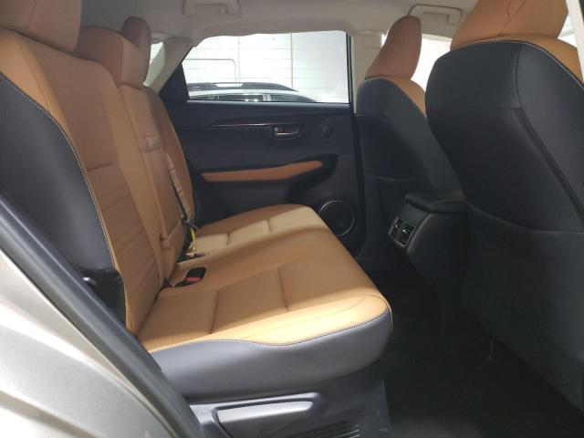 2020 LEXUS NX 300H JTJGJRDZ2L2127220