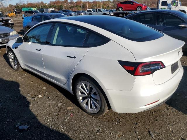 2023 TESLA MODEL 3 - 5YJ3E1EA3PF450677