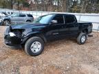 2023 TOYOTA TACOMA DOU - 3TYAX5GN3PT073499